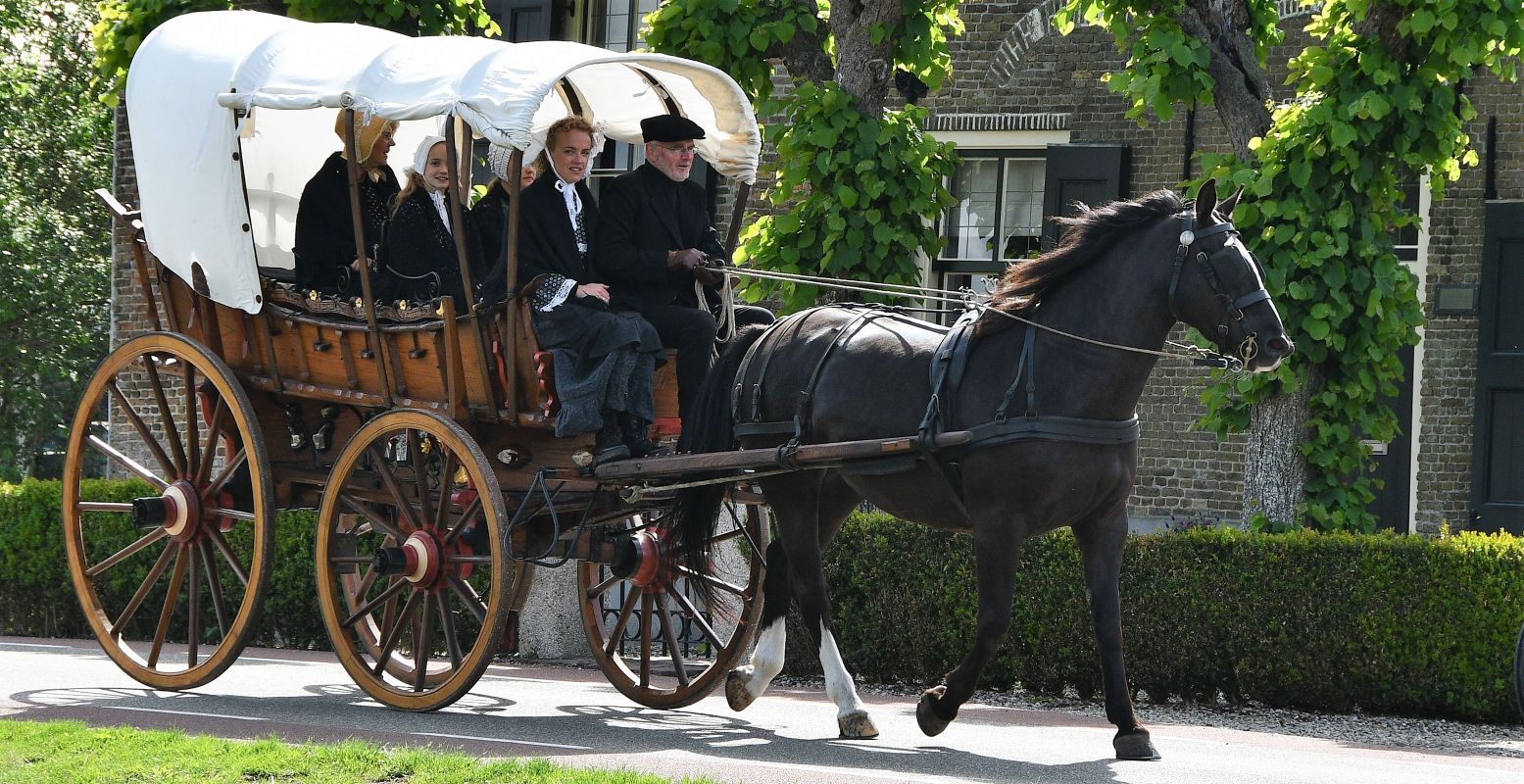 Ga kijken naar de prachtige wagens en rijtuigen die meedoen aan de menrit op Hemelvaartsdag in de Alblasserwaard. Foto: Adriaan van Wijck