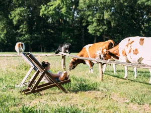 BoerenBed Hoeve den Overdraght Foto: BoerenBed