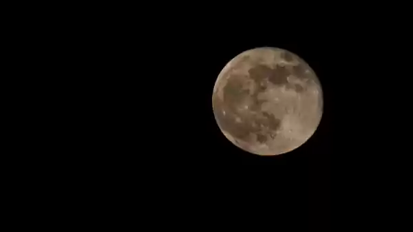 Vollemaanwandeling Sallandse Heuvelrug Volle maan | Foto ge&uuml;pload door gebruiker Staatsbosbeheer.