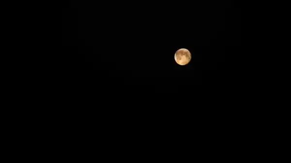 Een donkere nacht en een volle maan | Foto ge&uuml;pload door gebruiker Staatsbosbeheer.