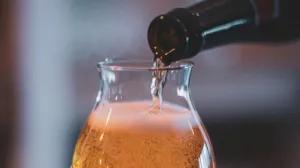 Mitra De Nieuwe Bourgondiër
