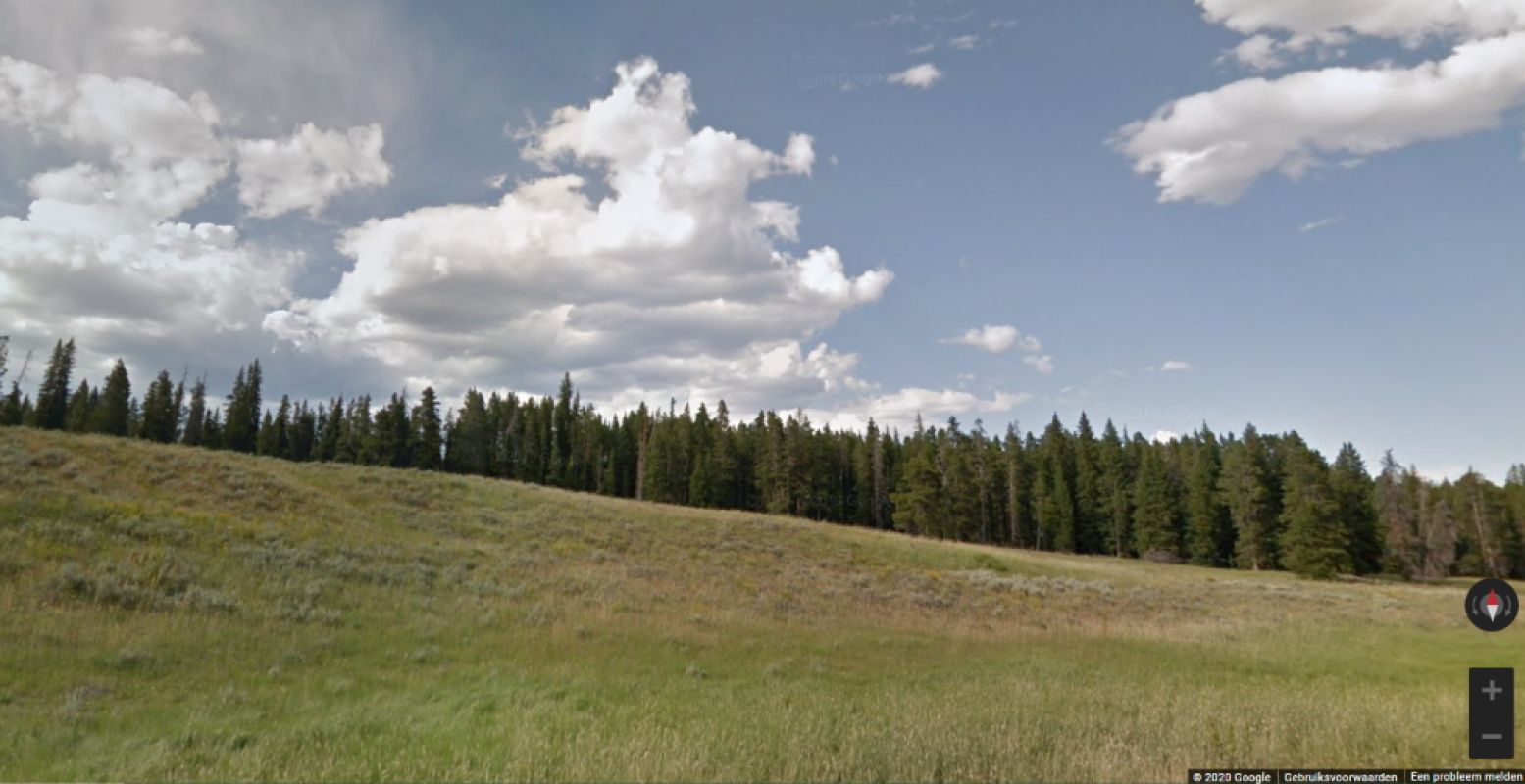 Dwaal virtueel door Yellowstone National Park. Foto: Screenshot  Google Arts & Culture .