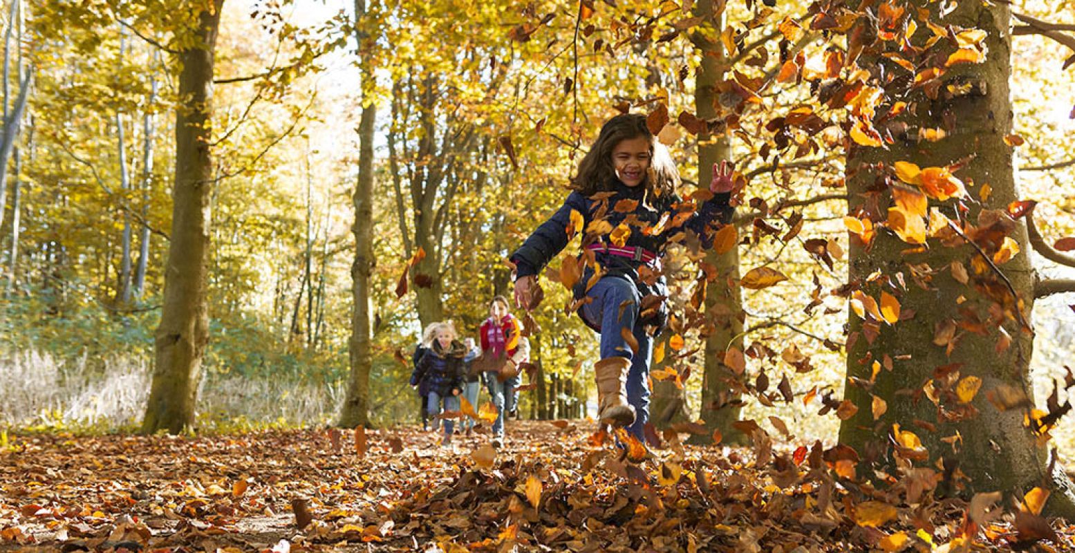 Vier de herfstvakantie in Almere. Verken bijvoorbeeld de Almeerse Stadsbossen met een boswachter. Foto: Almere City Marketing.