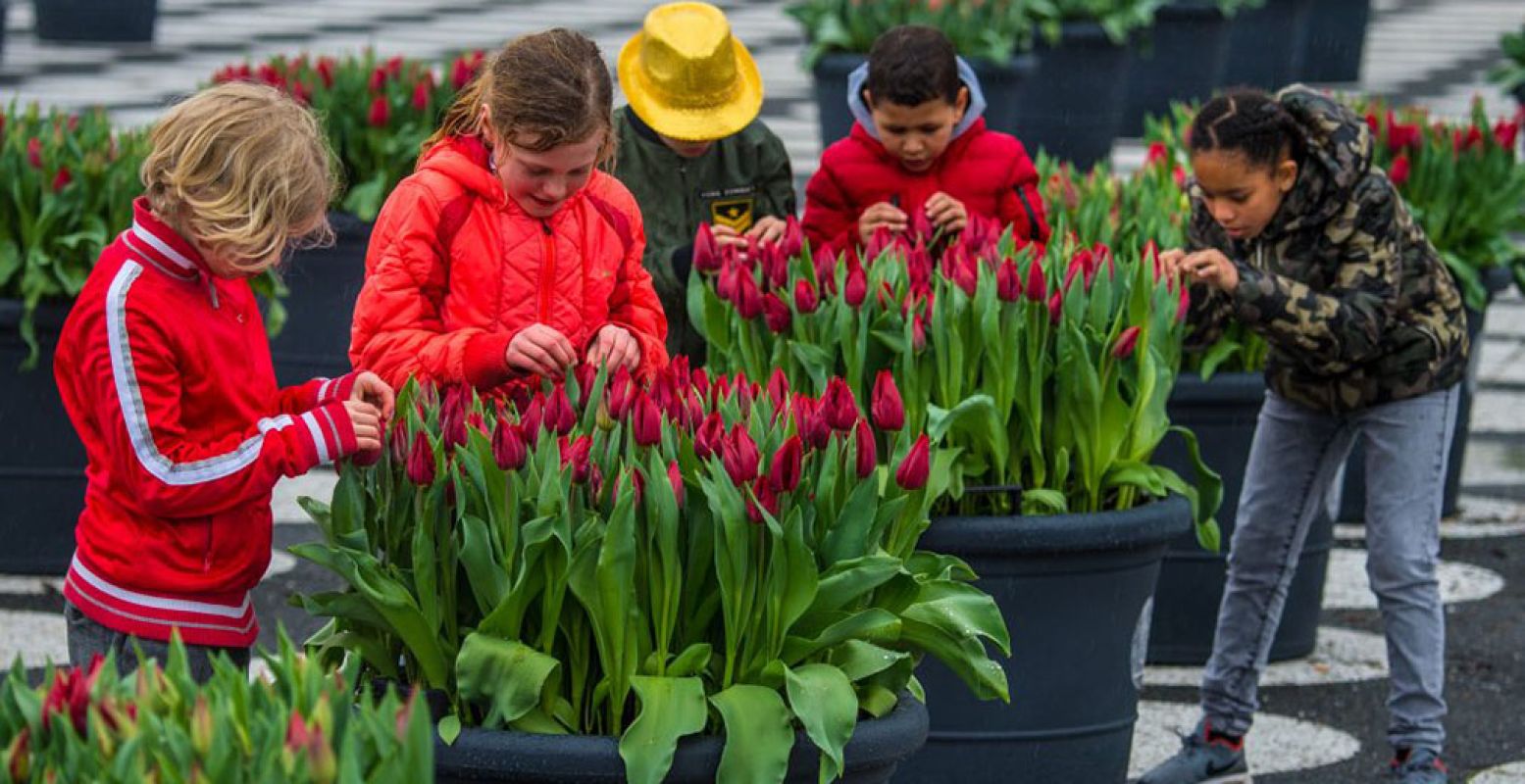 Genieten van de tulpen in Amsterdam tijdens het Tulp Festival. Foto: ©TulpFestivalAmsterdam 2018 / fotograaf John Lewis Marshall