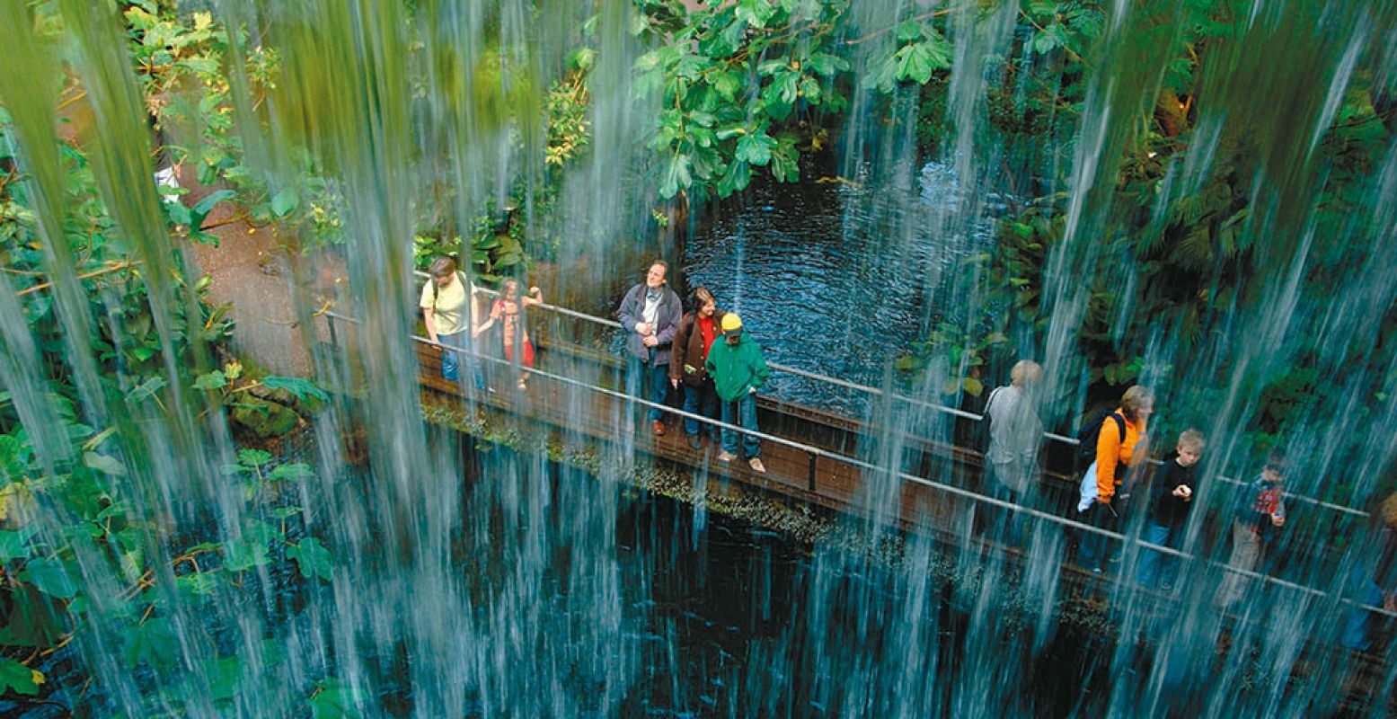 Verken deze zomervakantie de Bush en alle andere gebieden in Burgers' Zoo. Foto: Burgers' Zoo.