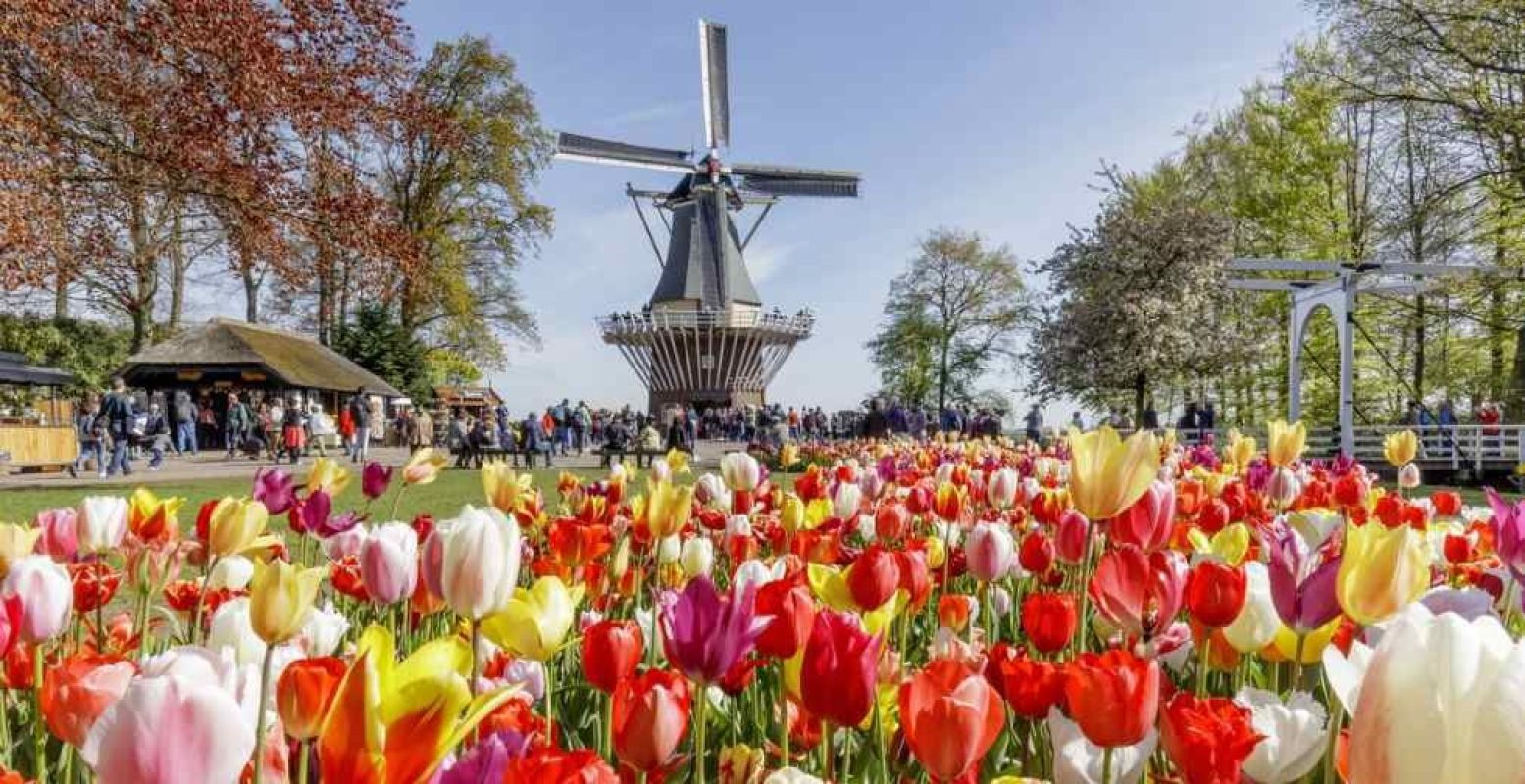 Laat je inspireren tijdens de Bloembollenmarkt in Keukenhof. Foto: Keukenhof.