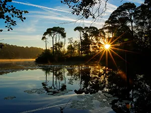 Foto: Natuurmonumenten.