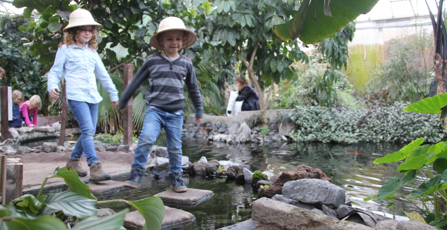 Almere Jungle is een ware ontdekkingstocht voor kinderen. Foto: Almere Jungle © Mike van Mourik