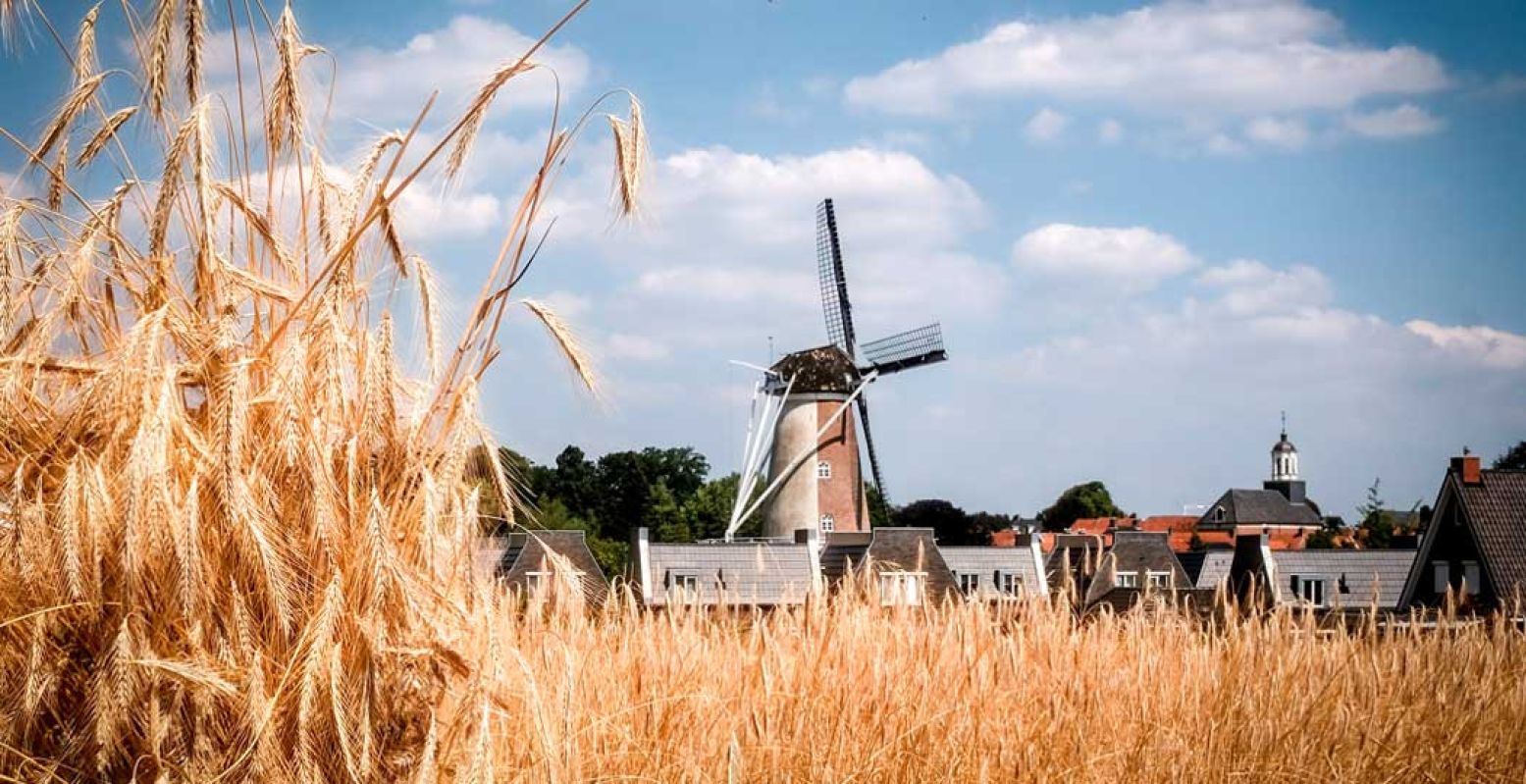 Molen van Oude Hengel. Foto: © VVV Ootmarsum-Dinkelland