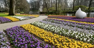 Lente met een gouden randje bij Keukenhof