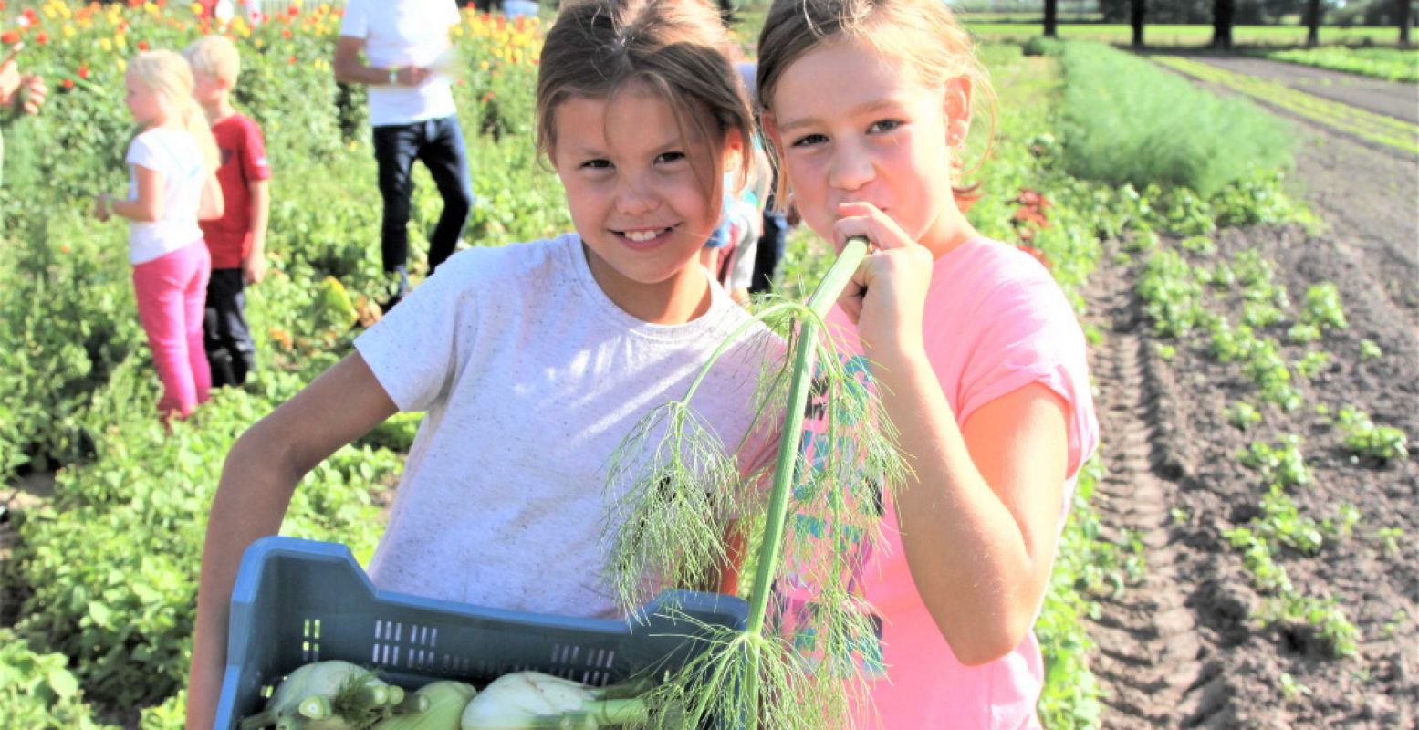 Bootcampen en verspillingsvrij koken tussen de koeien met de LekkerBoer Foodcamps. Foto: LekkerBoer.