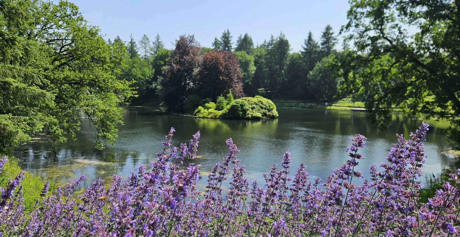 Alleen al de Bosvijver is een paradijsje op zich. Foto: Stadspark Berg & Bos Apeldoorn Alleen al de Bosvijver is een paradijsje op zich. Foto: Stadspark Berg & Bos Apeldoorn