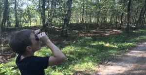 Wild spotten op de Veluwe Ook even omhoog kijken of er nog wat in de bomen zit. Foto: DagjeWeg.NL