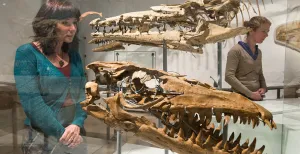 Zes tips voor populaire kinderuitstapjes in België Zaal van de Mosasauriërs in het Museum voor Natuurwetenschappen. Foto: Copyright - KBIN - Thierry Hubin.