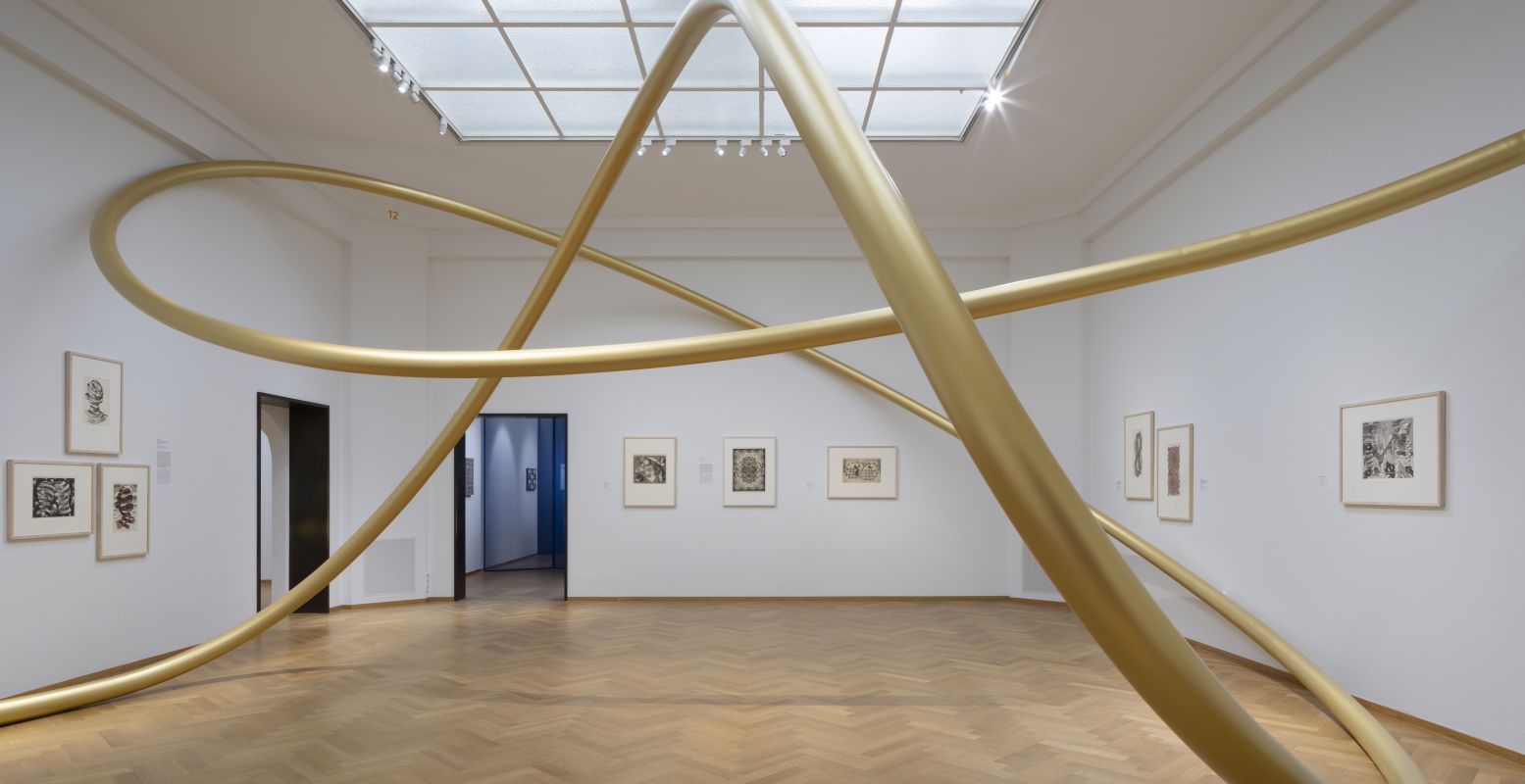 Beeld zaal â€˜Oneindigheid' met installatie 'Endless Line' van Gijs Van Vaerenbergh  en prenten van M.C. Escher. Fotograaf: Johnny Umans