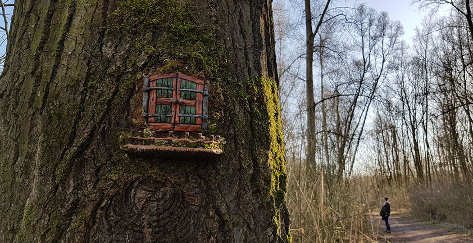 Verscholen langs dit pad in Bos De Elzen kun je zomaar opeens oog in oog staan met het deurtje van een elfenhuisje. Van laag bij de grond tot hoog in de boom. Allemaal gemaakt door de Dordtse kunstenares Moniek de Koning. Foto: DagjeWeg.NL © Tonny van Oosten