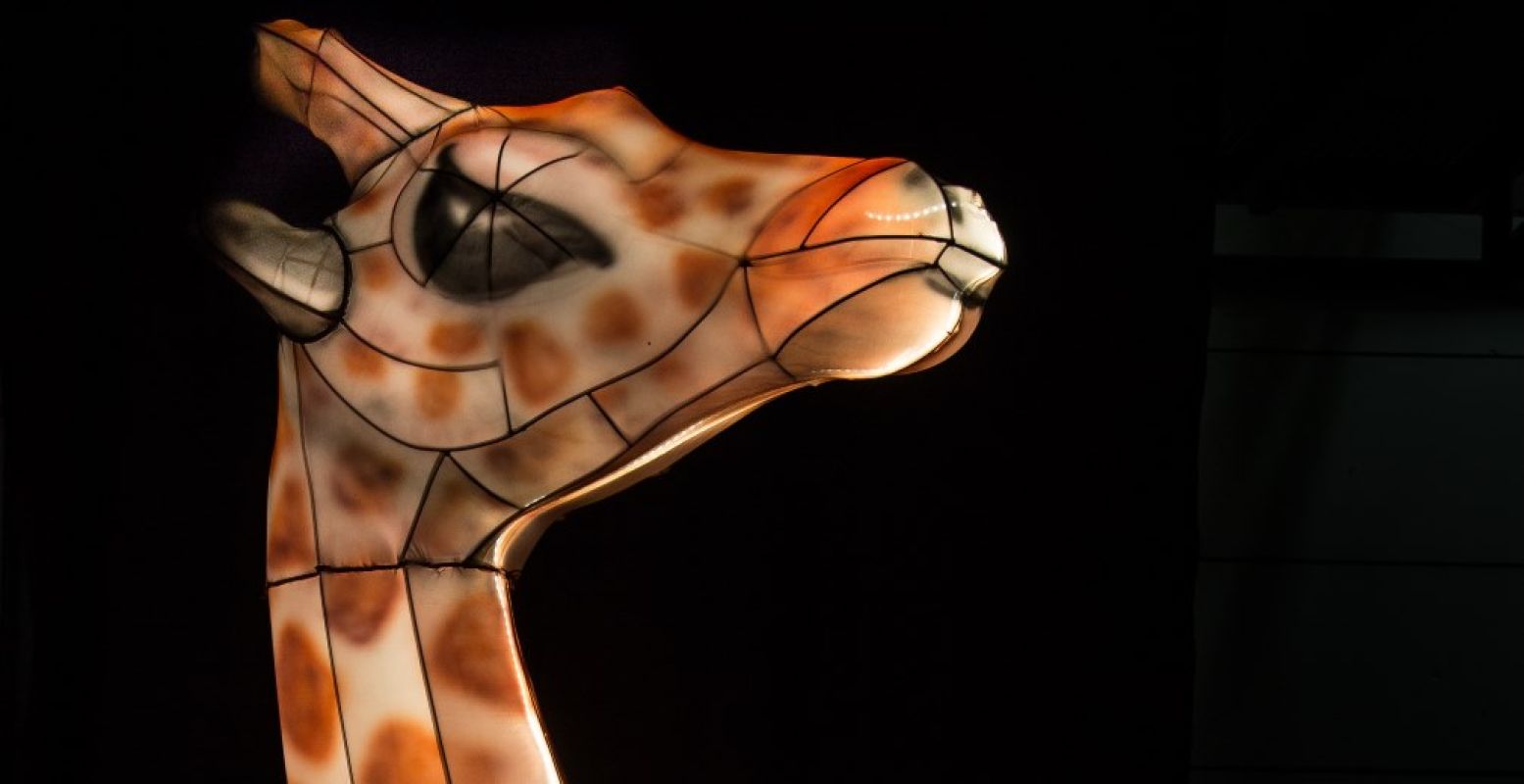 Niet van echt te onderscheiden, deze giraf. Foto: Burgers' Zoo