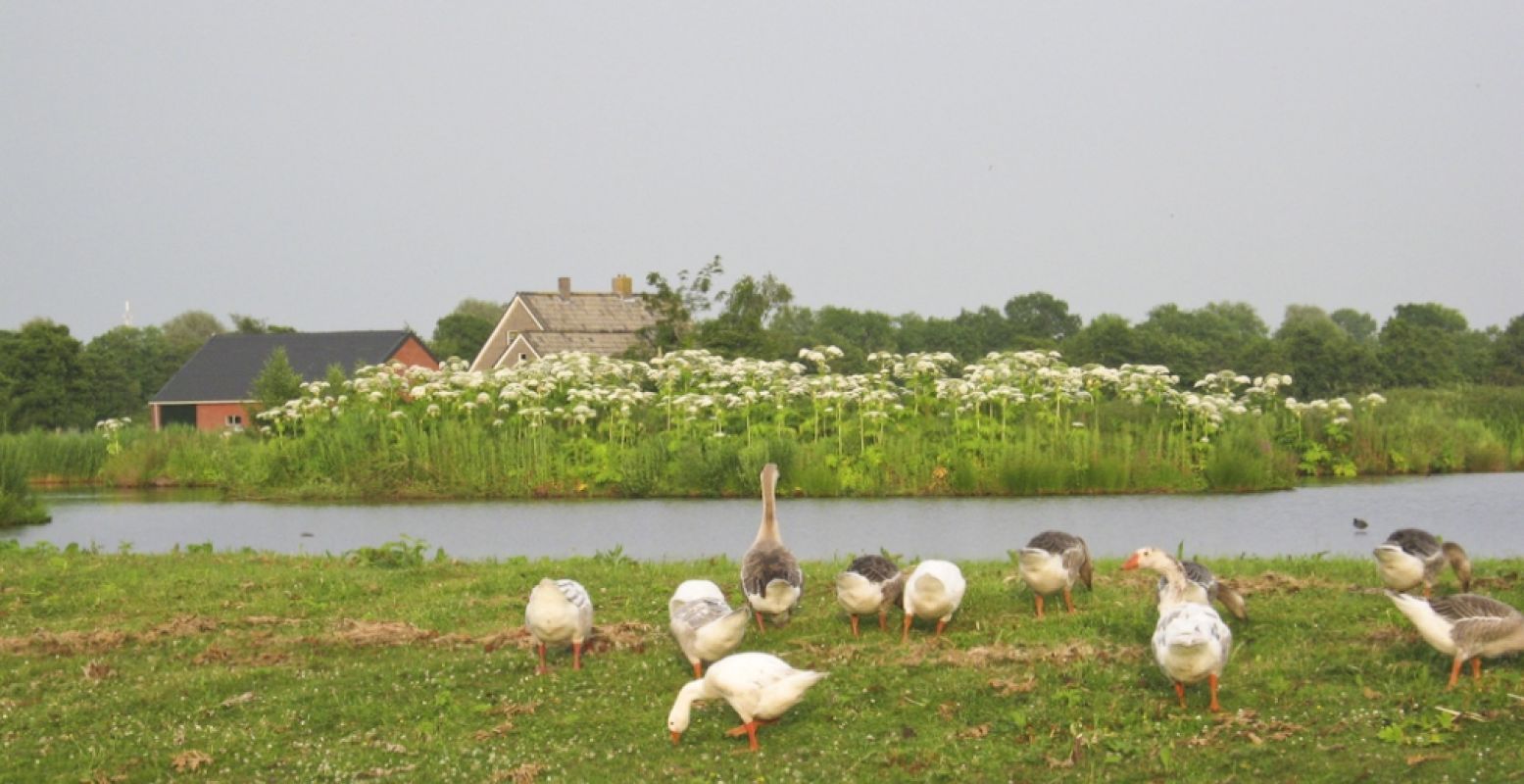 Kom tot rust in het Noorden. Hier zijn tal van sfeervolle B&B's te vinden in een prachtige omgeving. Foto: De Reitsmahoeve © Dieuwke Reitsma.