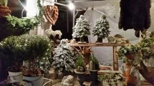 Kerstmarkt Orvelte Foto: Mannuela HuismanFoto geüpload door gebruiker.