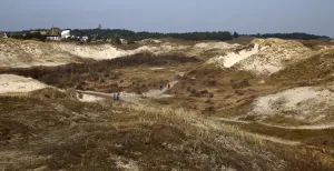 Wat is er te doen in Bergen en Bergen aan Zee? Laat je inspireren in de mooie omgeving van Bergen. Foto: Hart van Noord-Holland regio- en stadsmarketing