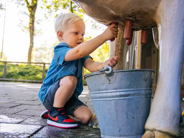 Leuk: een koe leren melken! Foto: Speelboerderij Binky Leuk: een koe leren melken! Foto: Speelboerderij Binky