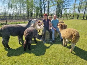 Gilbert en Wilma van de Alpaca Boerderij tussen hun alpaca's. Foto: Alpaca Ranch d'n Achterhoek.