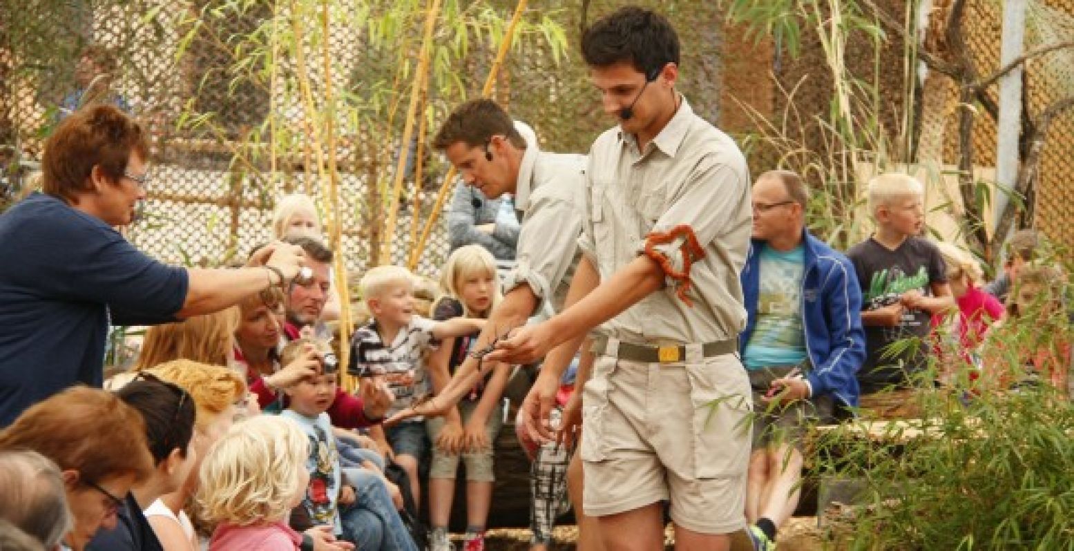 De avonturiers van de Orchideeën Hoeve vertellen je alles over de planten en dieren uit de jungle.