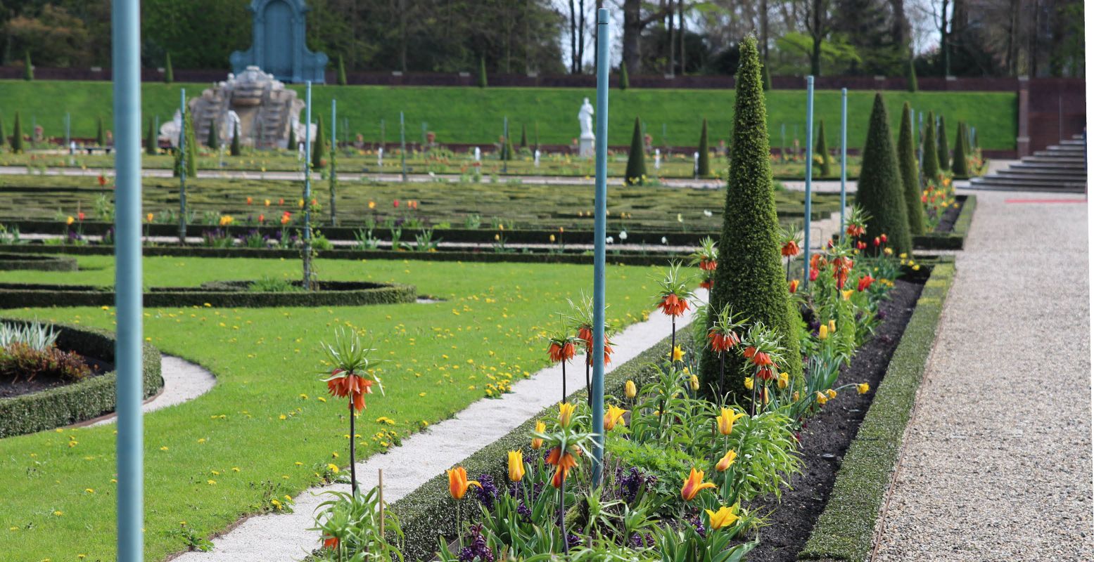 Ontdek zeldzame en unieke bloemen in de paleistuinen. Foto: DagjeWeg.NL