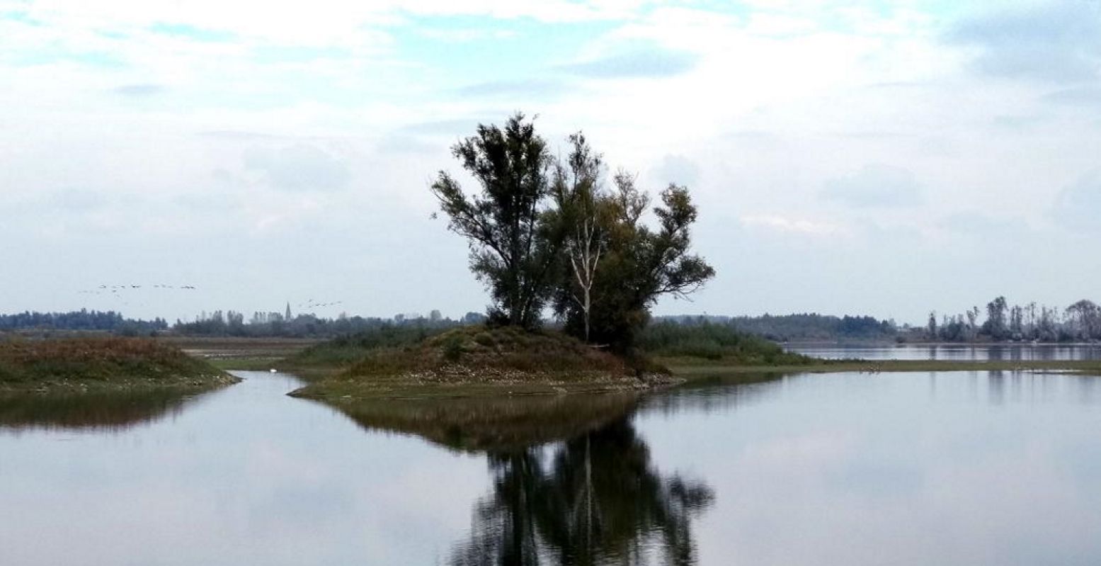 Zo mooi: de wandelroute RivierPark Maasvallei, langs beide oevers van de Grensmaas. Foto: Fiets en Wandelbeurs