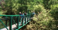 Wandel, speel en ontdek in de natuur