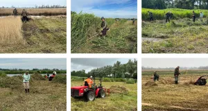 Zaanse Natuurdag. Foto: Stichting Promotie Zaanse Natuur Zaanse Natuurdag. Foto: Stichting Promotie Zaanse Natuur