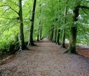 Seniorenwandeling Foto geüpload door gebruiker Geldersch Landschap en Kasteelen
