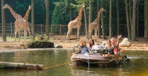 Dagje Amersfoort: de leukste uitstapjes en bezienswaardigheden Hartstikke leuk voor het hele gezin tijdens een dagje in de Keistad: DierenPark Amersfoort. Foto: DierenPark Amersfoort.