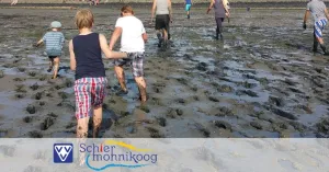 Wad excursie op Schiermonnikoog Wad excursie op SchiermonnikoogFoto geüpload door gebruiker Natuurmonumenten.