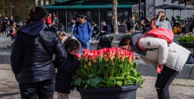 Amsterdam staat vol bloeiende tulpen tijdens het Tulp Festival
