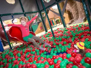 Welkom in de Holle Bolle Boom! Foto: Holle Bolle Boom.