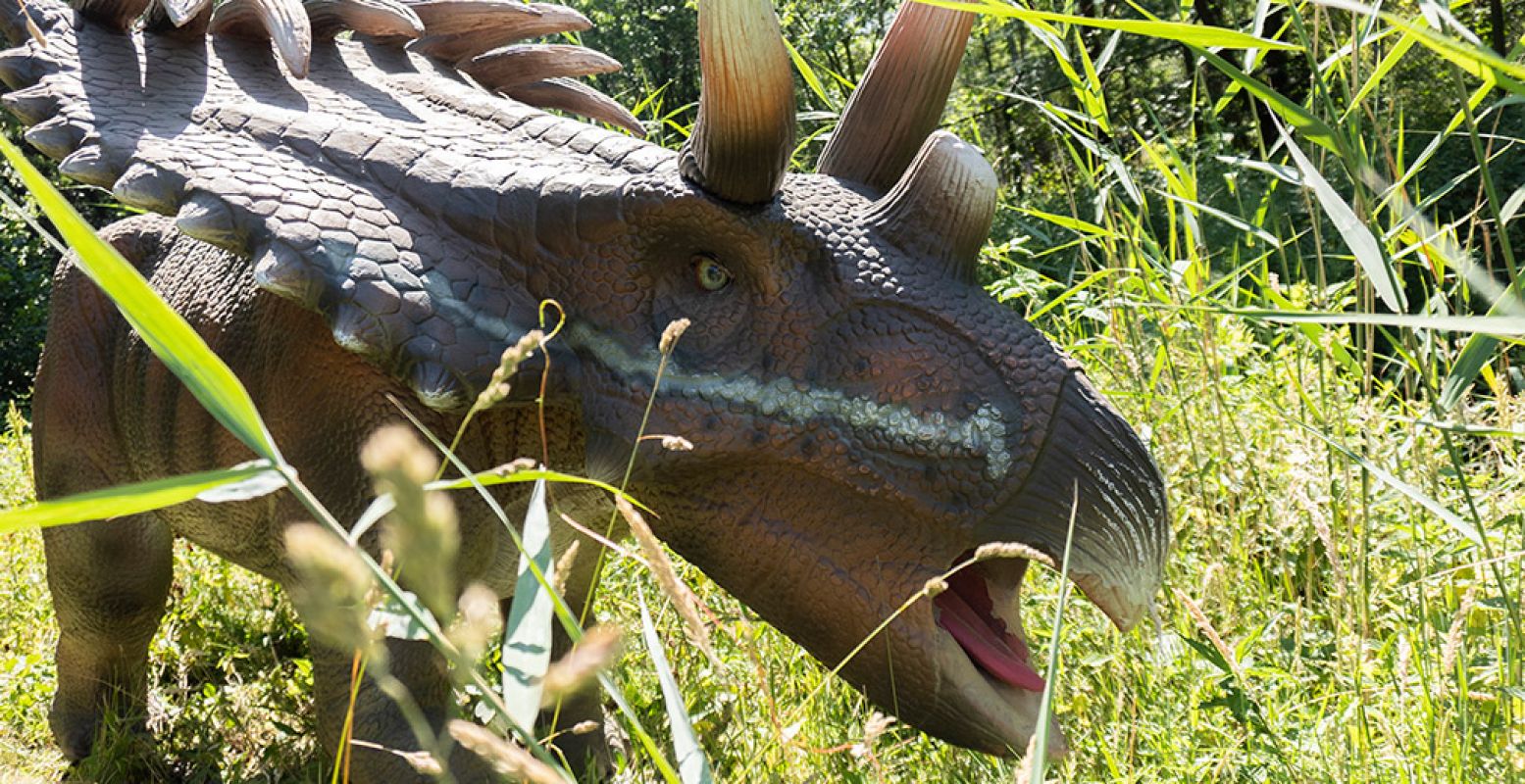 In Dinopark Vliegveld Twente kom je overal levensgrote dino's tegen. Foto: Dinopark Vliegveld Twente