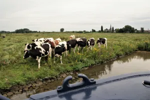 Rivieroevertocht Golberdingerwaard Stichting RivierenoevervaartenFoto geüpload door gebruiker Stichting Liniebreed Ondernemen.