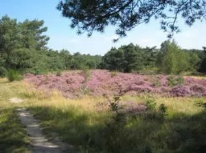 Slapen bij de boer - De Kalverweide