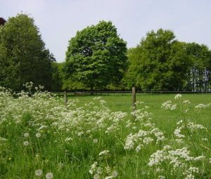 04/09/25 Hernen Fietstocht Land van Maas en Waal