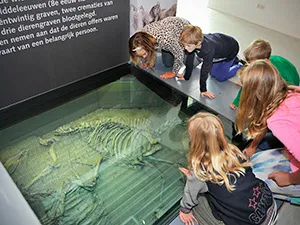 Bekijk het bijzondere paardengraf. Foto: Museum Wierdenland