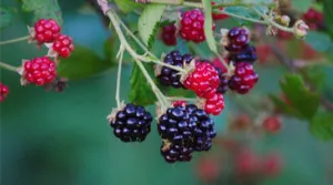 Woensdagmiddag? Ga de natuur in!