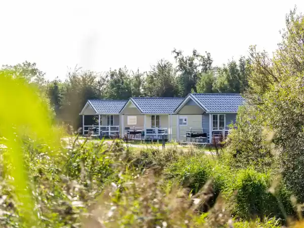 Recreatie De Zeehoeve Foto: Recreatie De Zeehoeve