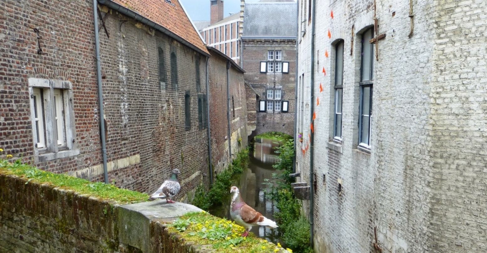 Het schilderachtige riviertje de Jeker stroomt door de wijk Jekerkwartier in Maastricht. Foto: Henk Arendse