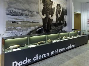 Natuurhistorisch Museum Rotterdam