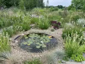 Foto:Detuinrondom 