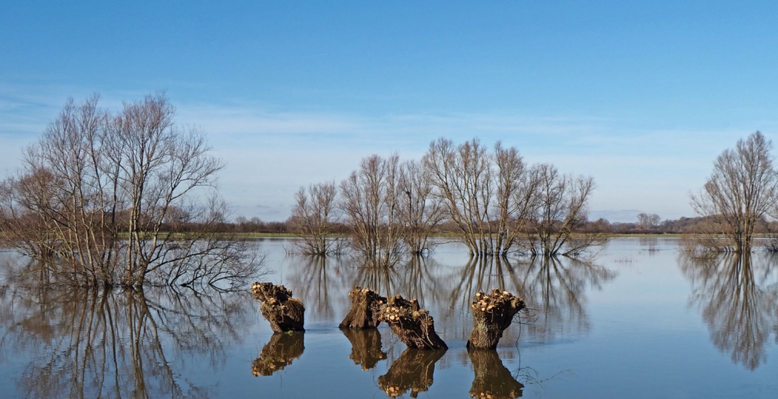 Dagje uit? Doe eens een rondje Dieren, Doesburg en Doetinchem. Alle drie verbonden door de Oude IJssel en (op de foto) de IJssel. Foto: Ben Paul via  Pixabay 