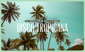 Disco Tropicana Perskit FotograafFoto geüpload door gebruiker.