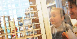 Rupsjes, cocons en prachtige vlinders in de Vlinderfabriek!