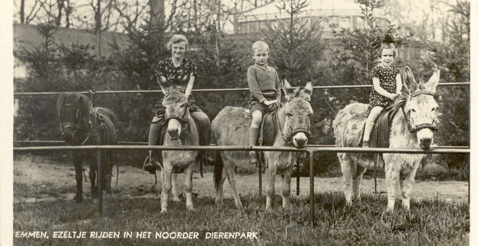 Stuur je herinnering van Dierenpark Emmen op. Foto: Wildlands Emmen Archief © Stuur je herinnering van Dierenpark Emmen op. Foto: Wildlands Emmen Archief ©